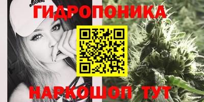 СК Бузулук