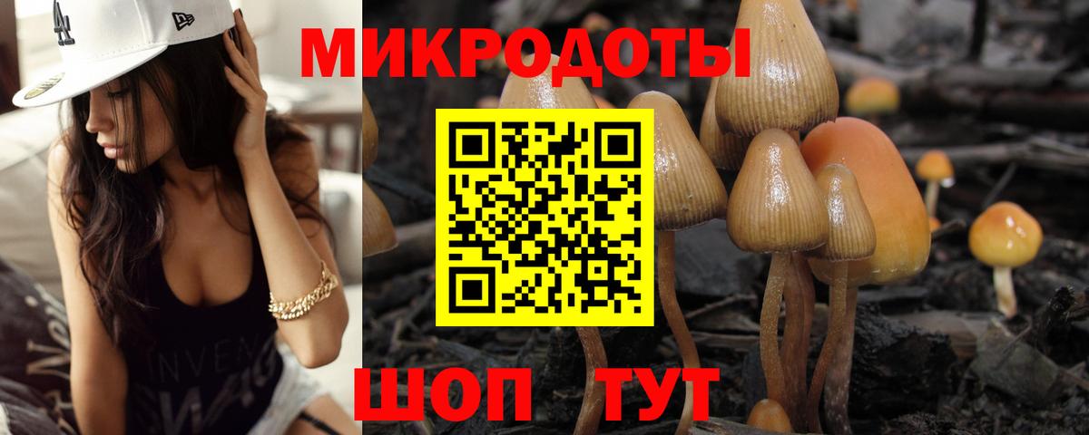 Галлюциногенные грибы Magic Shrooms  наркота  Чистополь  Вход с VPN  Галлюциногенные грибы Psilocybine cubensis 